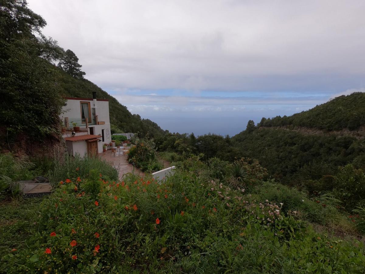 Freedom Villa El Tablado Exteriör bild