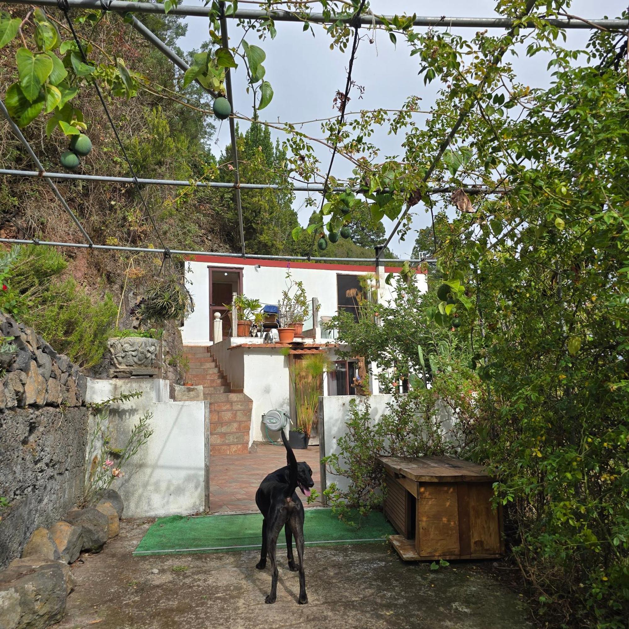 Freedom Villa El Tablado Exteriör bild