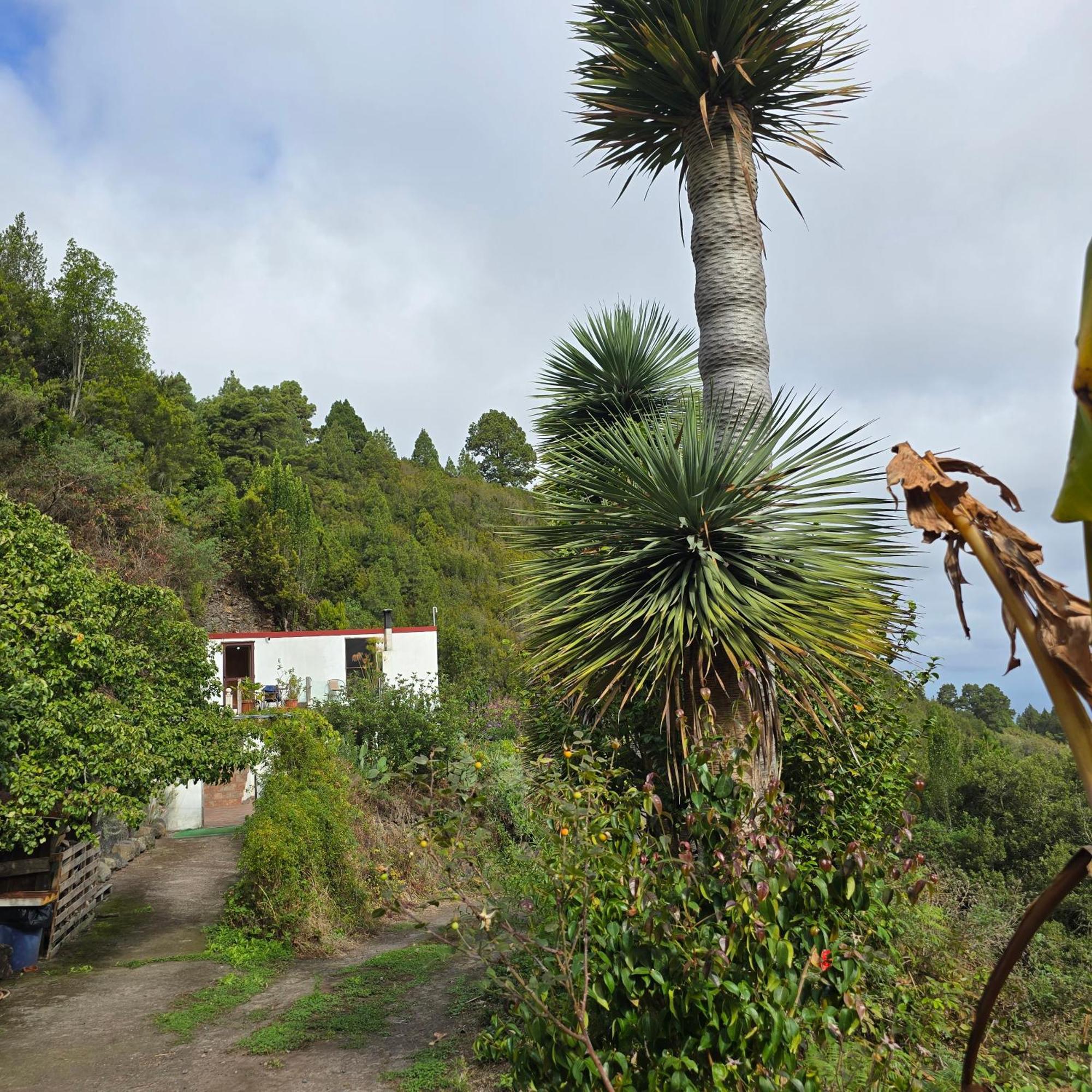 Freedom Villa El Tablado Exteriör bild